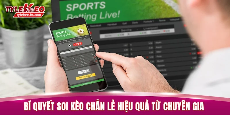 Bí quyết soi kèo chẵn lẻ hiệu quả từ chuyên gia