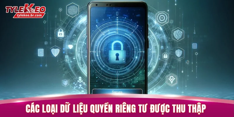 Quyền Riêng Tư 2 Các loại dữ liệu quyền riêng tư được thu thập và cách sử dụng