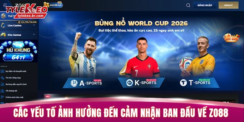 Các yếu tố ảnh hưởng đến cảm nhận ban đầu về ZO88