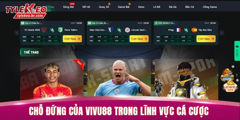 Chỗ đứng của VIVU88 trong lĩnh vực cá cược trực tuyến