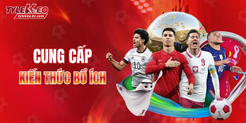 Tỷ lệ kèo nhà cái cung cấp kiến thức bổ ích cho độc giả