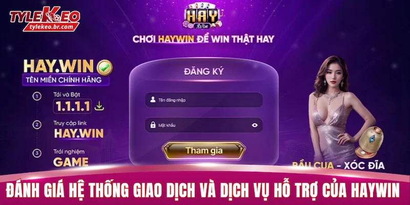 HAYWIN | Top 5 Tiêu Chí Đánh Giá Toàn Diện Nền Tảng 3 Đánh giá hệ thống giao dịch và dịch vụ hỗ trợ của HAYWIN