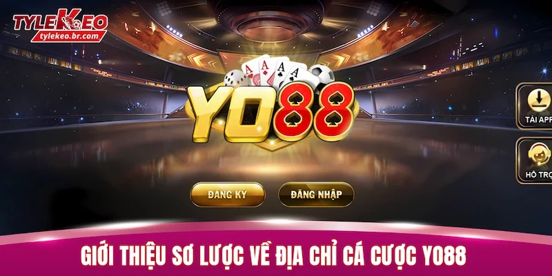Giới thiệu sơ lược về địa chỉ cá cược YO88