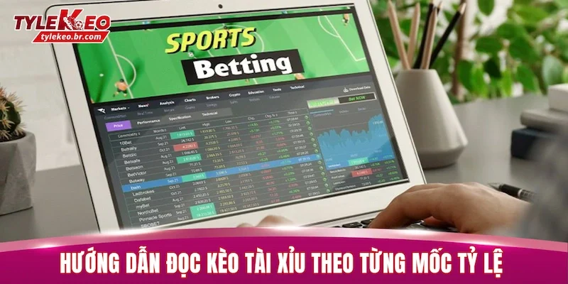 Kèo Tài Xỉu - 11 Loại Kèo Hấp Dẫn Theo Từng Mức Tỷ Lệ 3 Hướng dẫn đọc kèo tài xỉu theo từng mốc tỷ lệ