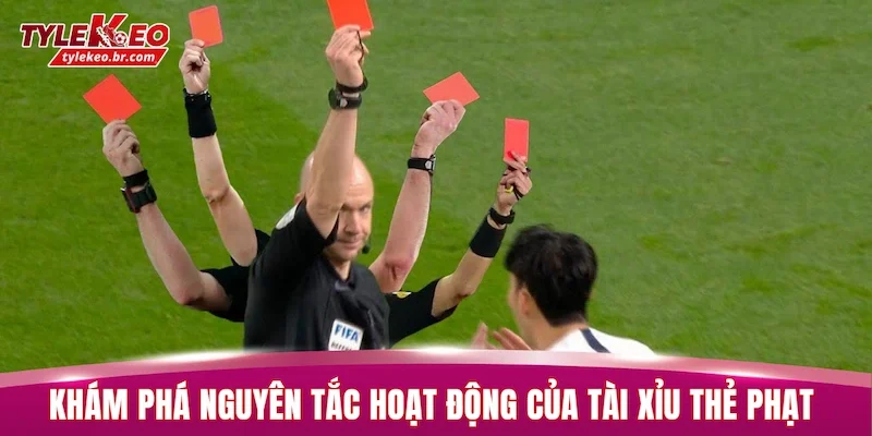 Tài Xỉu Thẻ Phạt - Đọc Hiểu Thế Trận Lên Đến 99,99% 1 Khám phá nguyên tắc hoạt động của tài xỉu thẻ phạt