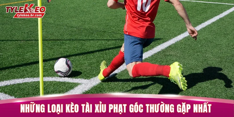 Tài Xỉu Phạt Góc | Cách Phân Tích Kèo Chuẩn Xác 100% 2 Những loại kèo tài xỉu phạt góc thường gặp nhất