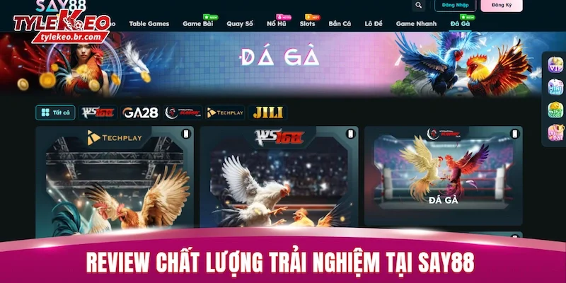 SAY88 - Review Nền Tảng Giải Trí Có Lượng Truy Cập Lớn 3 Review chất lượng trải nghiệm tại SAY88