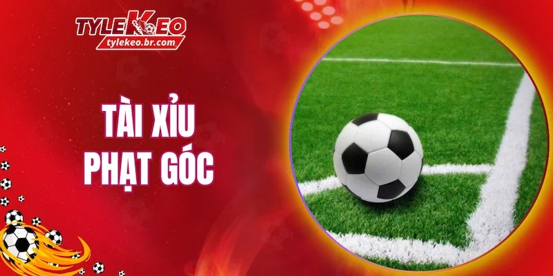 Tài xỉu phạt góc mang đến góc nhìn