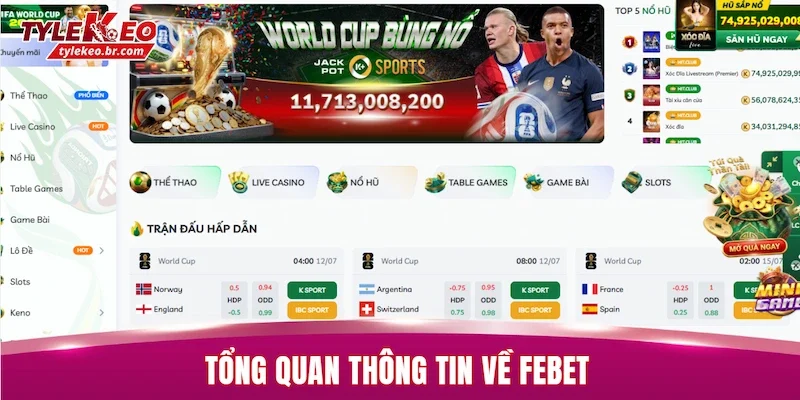 FEBET | Review Chi Tiết Nền Tảng Giải Trí Cực Hot 2026 1 Tổng quan thông tin về FEBET